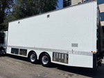 General Appearance with Paint