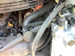 Engine with Exhaust System