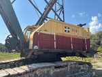 General Appearance with Paint