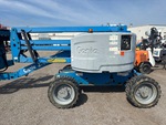 General Appearance with Paint
