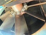 Engine with Radiator