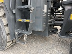General Appearance with Paint
