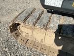 Undercarriage with Left Track Shoes