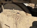 Undercarriage with Left Idler