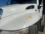 General Appearance with Paint