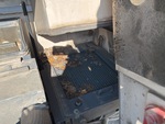 Engine with Radiator