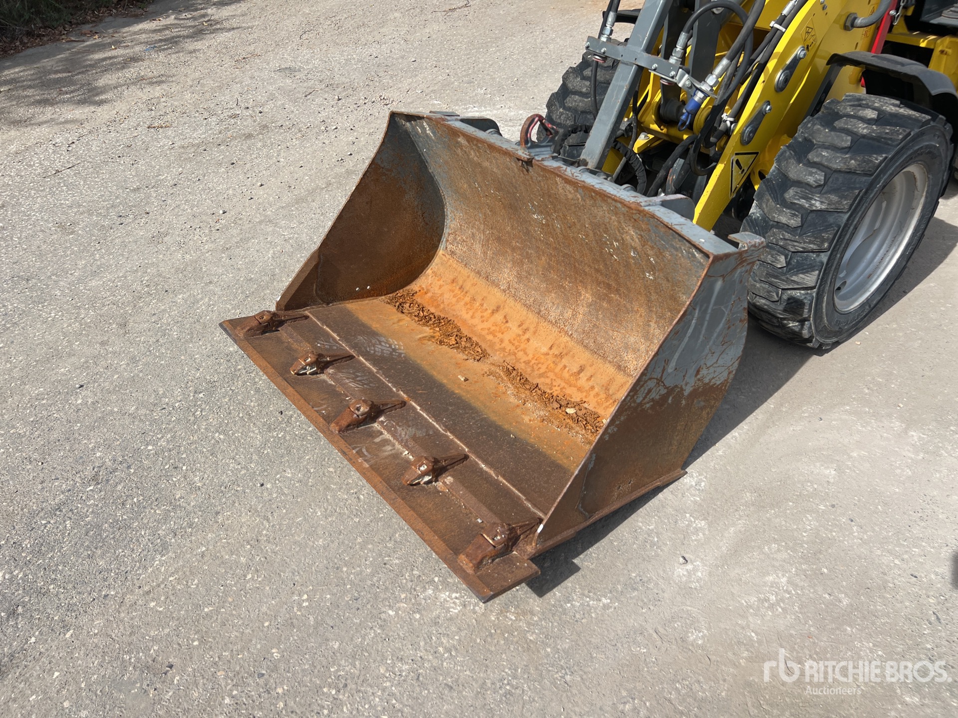2020 Wacker Neuson WL20 ELEKTRO