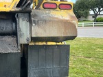General Appearance with Paint