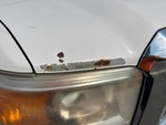 General Appearance with Paint