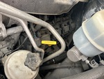 Engine with Oil Leaks