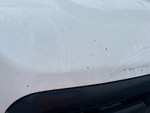 General Appearance with Paint