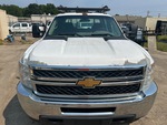 General Appearance with Paint