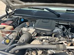 Engine with Exhaust System