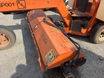 General Appearance with Paint