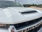 General Appearance with Paint