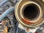 Engine with Radiator