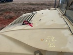 General Appearance with Paint