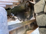 Underbody with Rear Drive Axle