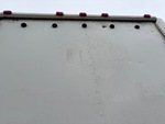 General Appearance with Paint