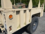 General Appearance with Paint