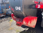 General Appearance with Paint