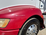 General Appearance with Paint