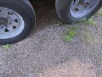 Trailer with