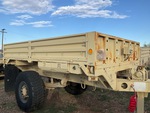 General Appearance with Paint
