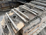 Undercarriage with Left Track Shoes