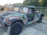 General Appearance with Paint