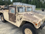 General Appearance with Paint