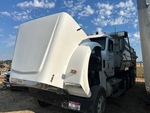 General Appearance with Paint