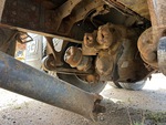 Drivetrain with