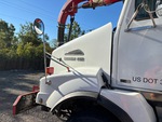 General Appearance with Paint