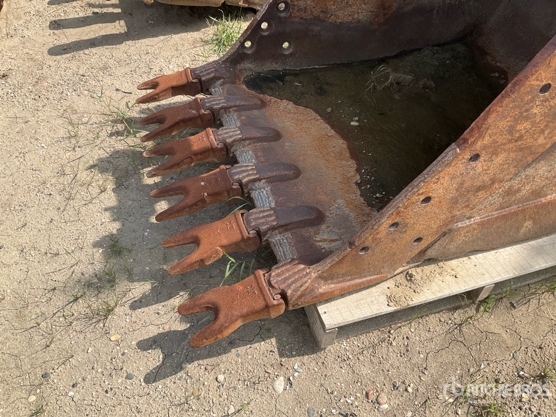 Caterpillar 44 in Digging - Fits Cat 300 Series