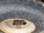 Underbody with