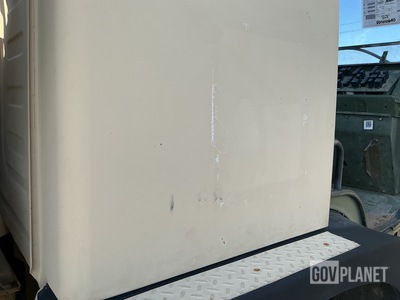 General Appearance with Paint