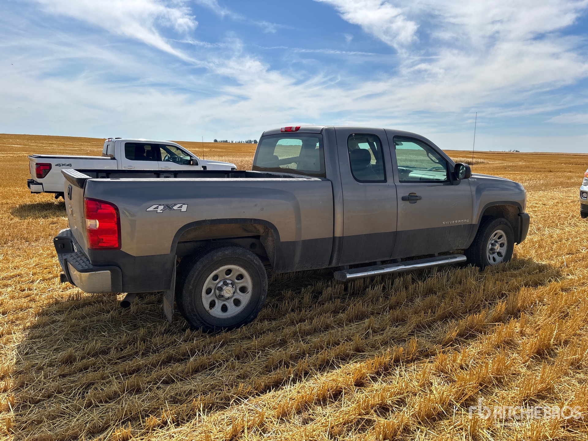 2009 Chevrolet SILVERADO 1500