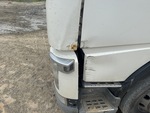 General Appearance with Paint