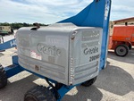 General Appearance with Paint
