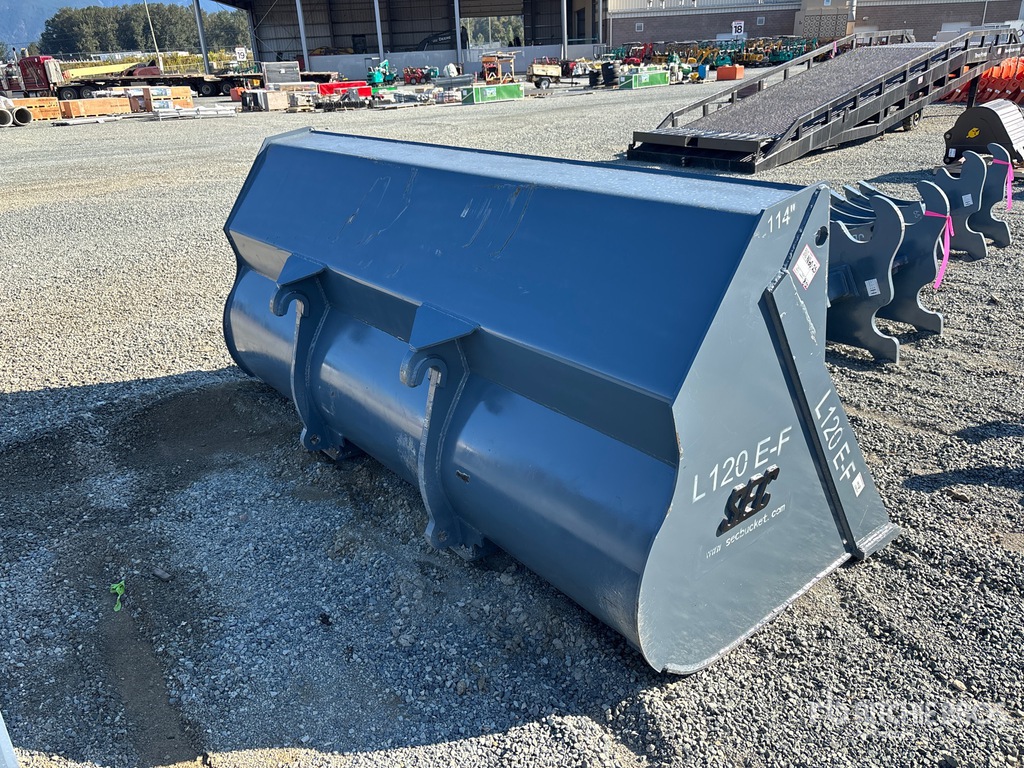 General Appearance with Image, coin arrière droit