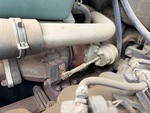 Engine with Exhaust System