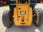 General Appearance with Paint