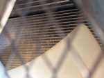 Engine with Radiator