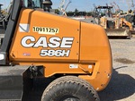 General Appearance with Paint