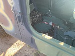 General Appearance with Paint