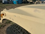 General Appearance with Paint