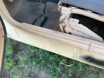 General Appearance with Paint