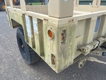 General Appearance with Paint