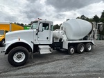 General Appearance with Paint